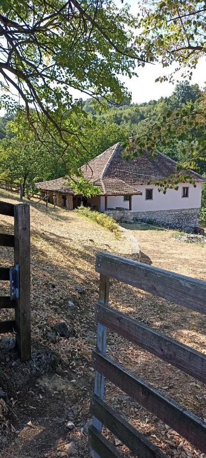 Appartement Poljoprivredno Turisticko Domacinstvo Deguric à Valjevo Extérieur photo