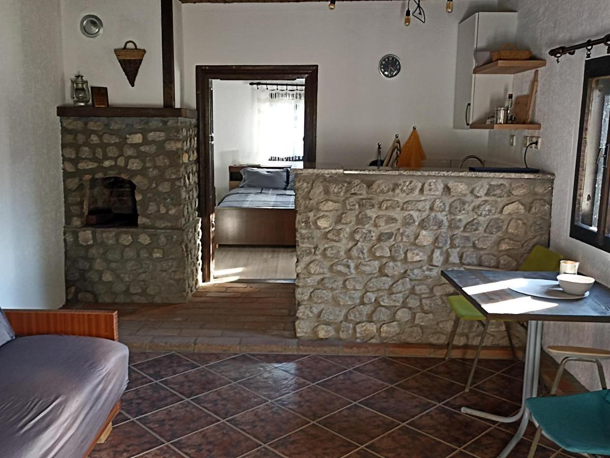 Appartement Poljoprivredno Turisticko Domacinstvo Deguric à Valjevo Extérieur photo